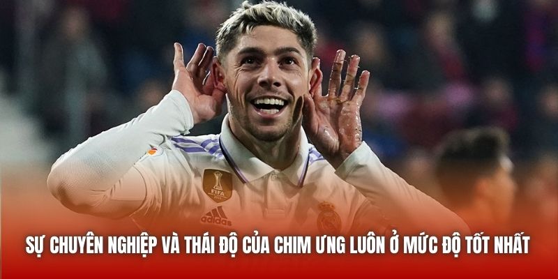 Sự chuyên nghiệp và thái độ của Chim Ưng luôn ở mức độ tốt nhất