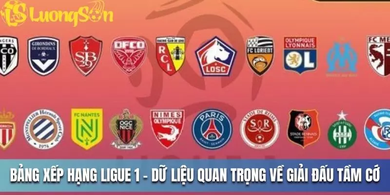 Bảng xếp hạng Ligue 1 - Dữ liệu quan trọng về giải đấu tầm cỡ