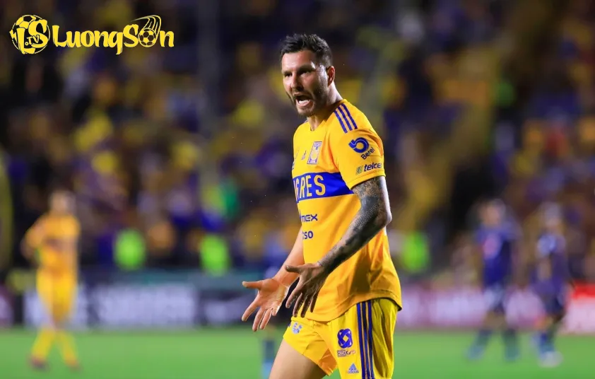 Tigers sẽ thiếu vắng chân sút chủ lực Andre Gignac trong cuộc đối đầu với Pachuca. (Ảnh: Getty)