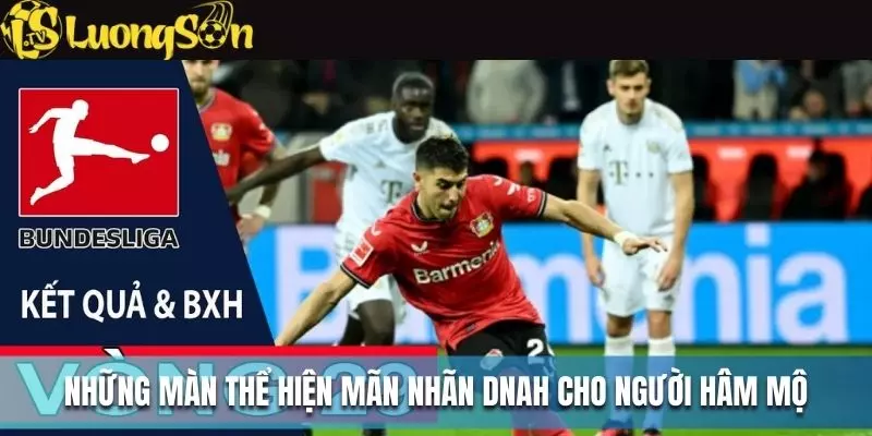 Những màn thể hiện mãn nhãn dành cho người hâm mộ